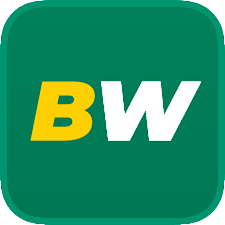 Explore the Thrills of Betting with Betwinner Sportsbook